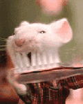 pic for Mouse brushes a tooth